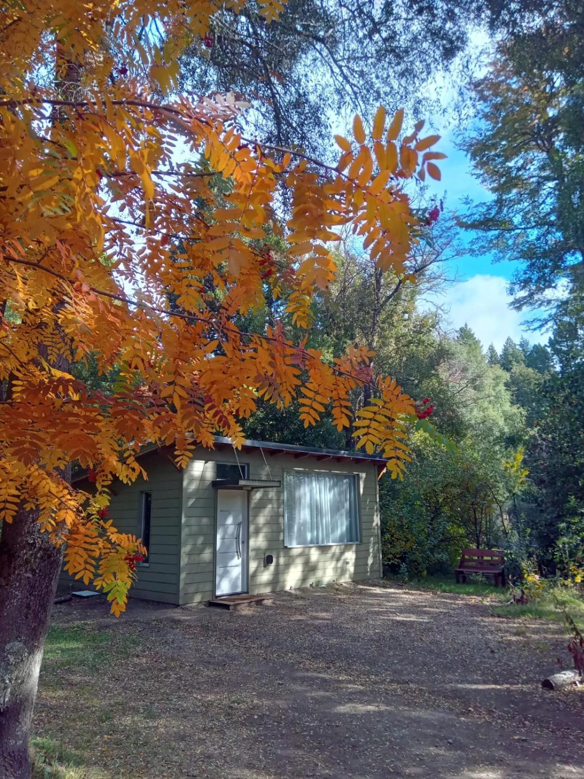 La Casita Del Bosque Chalet